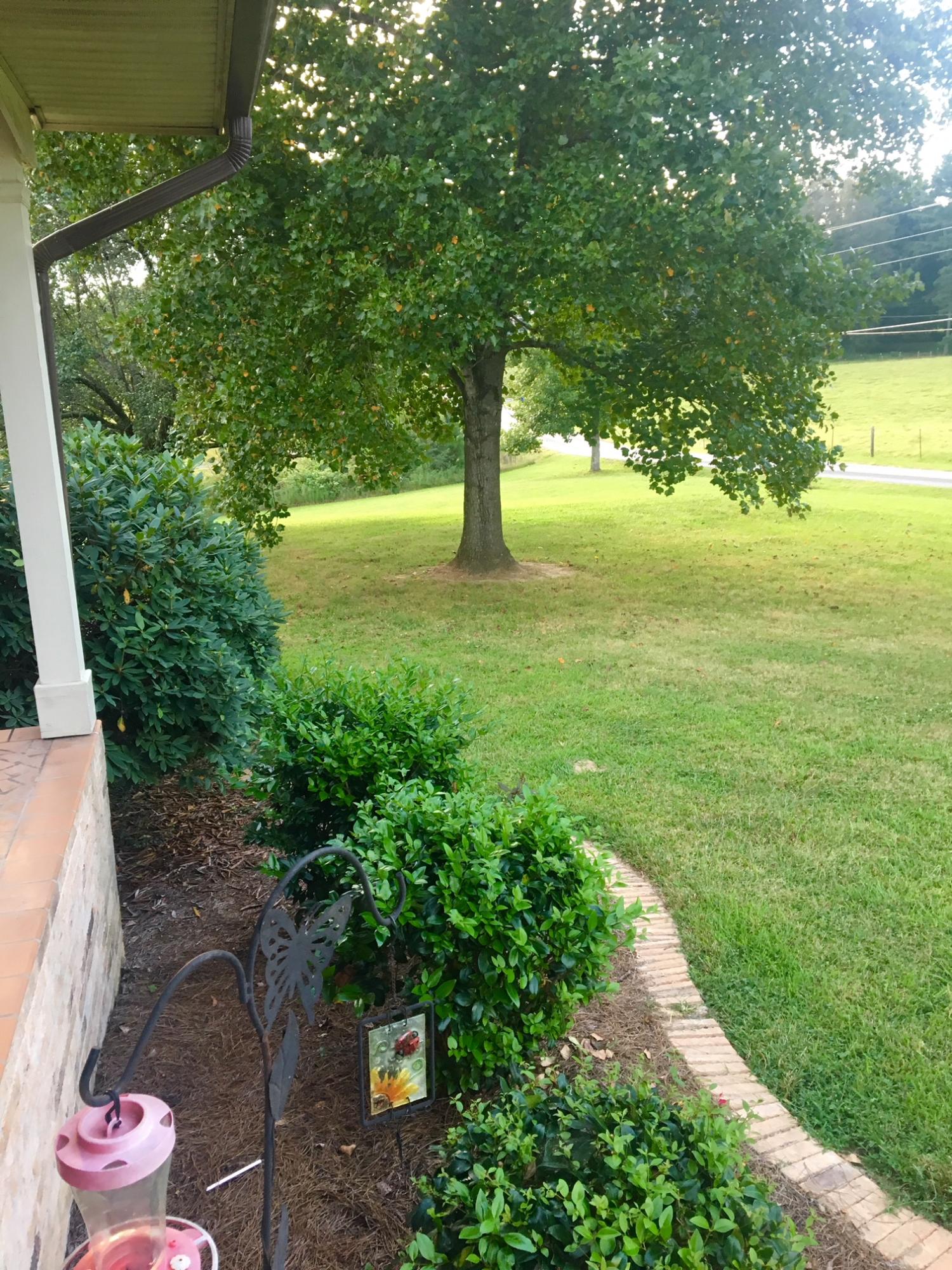 755 Harris Creek Road Cleveland, TN 37311 - Photo 3 of 8 IMG_5538 (1)