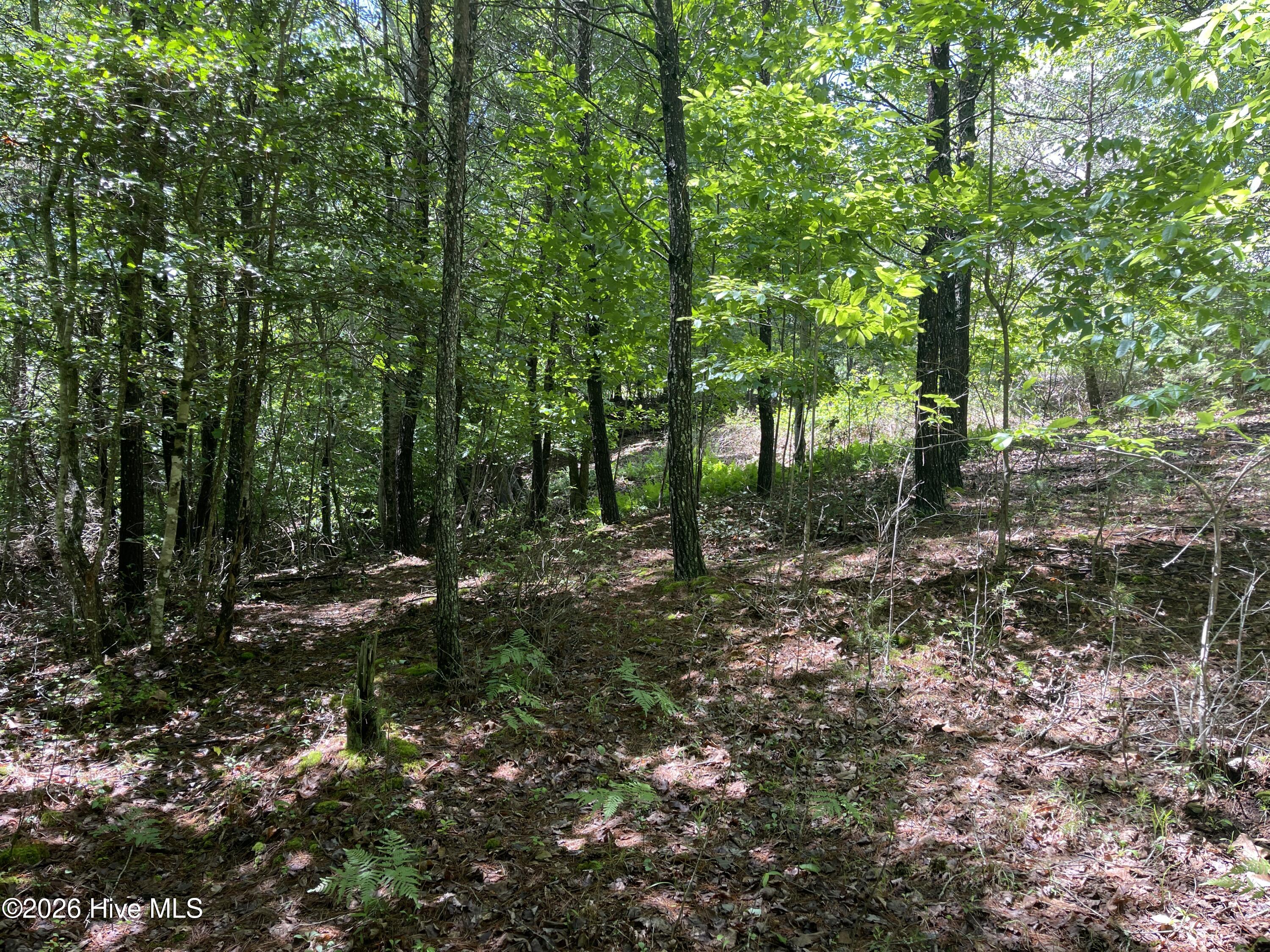 0 River Mountain Road Murphy, NC 28906 - Photo 2 of 6