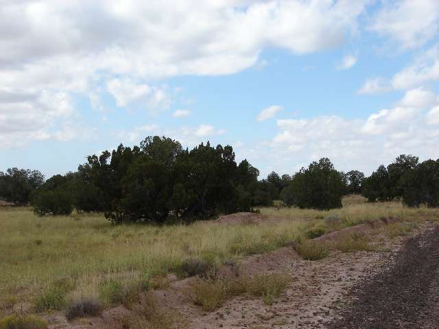 Lot 1 River Meadows Ranch Snowflake, AZ 85937 - Photo 2 of 5