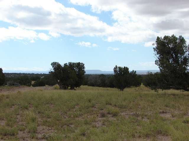 Lot 1 River Meadows Ranch Snowflake, AZ 85937 - Photo 3 of 5