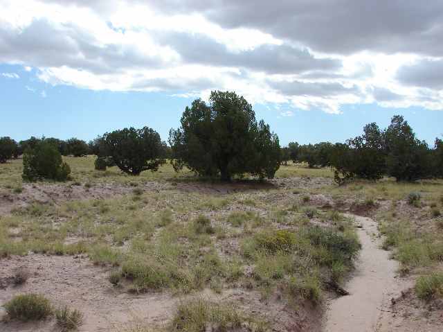 Lot 1 River Meadows Ranch Snowflake, AZ 85937 - Photo 5 of 5