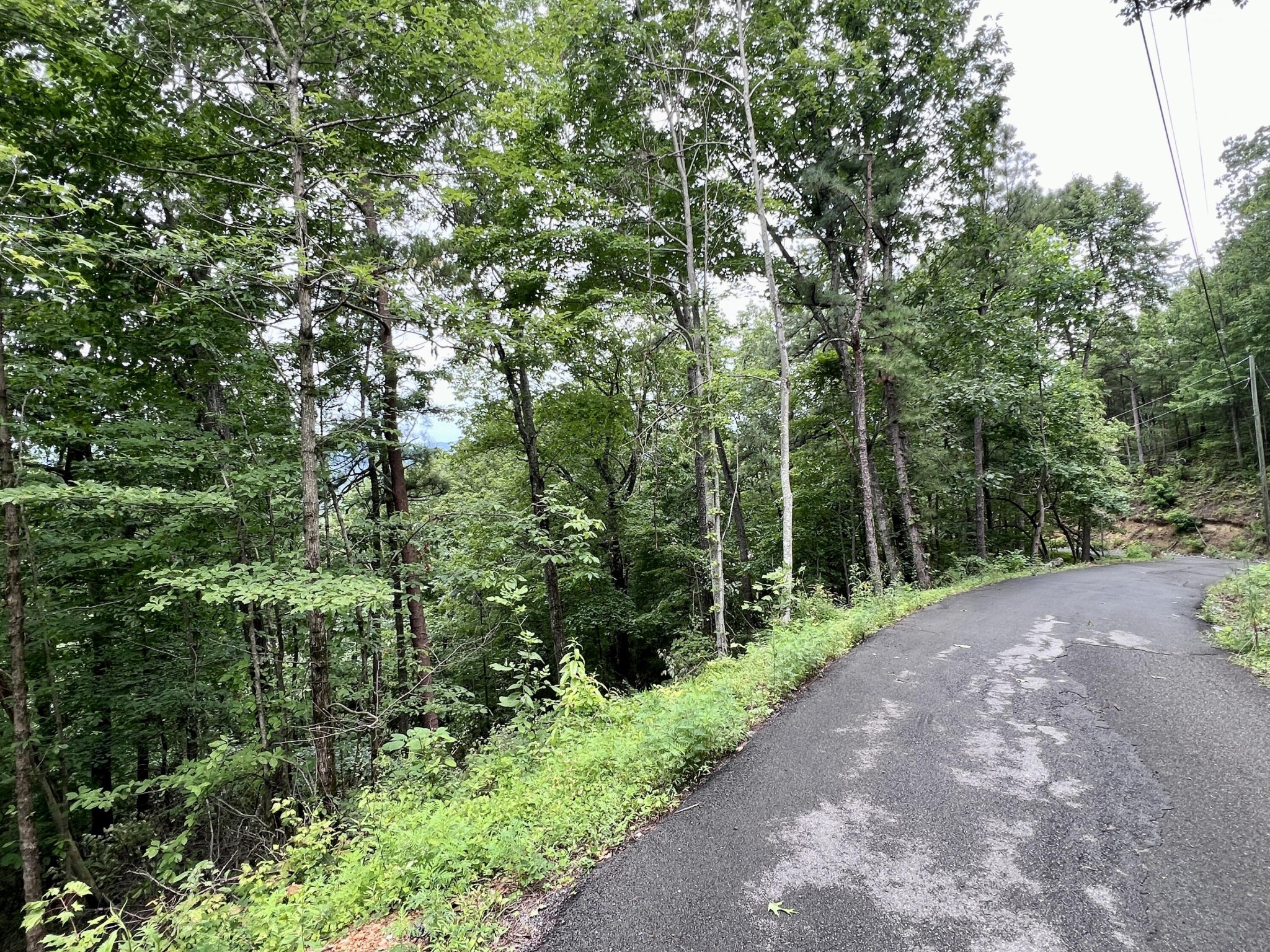 10 Ravens Den Way Sevierville, TN 37862 - Photo 3 of 12