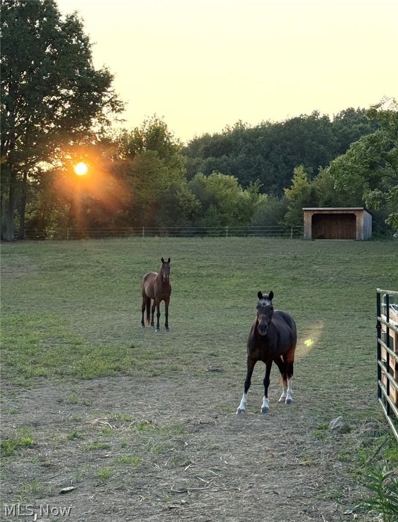 4556 Rootstown Road Ravenna, OH 44266 - Photo 49 of 50 Pasture