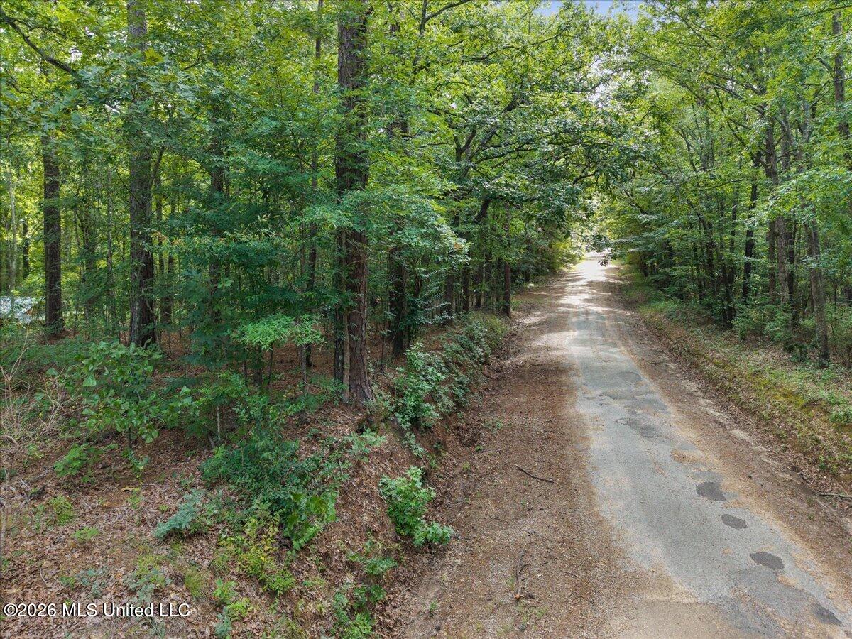 664 Mt Zion Road, Unit 664 Camden, MS 39045 - Photo 37 of 45 39-IMG_3673