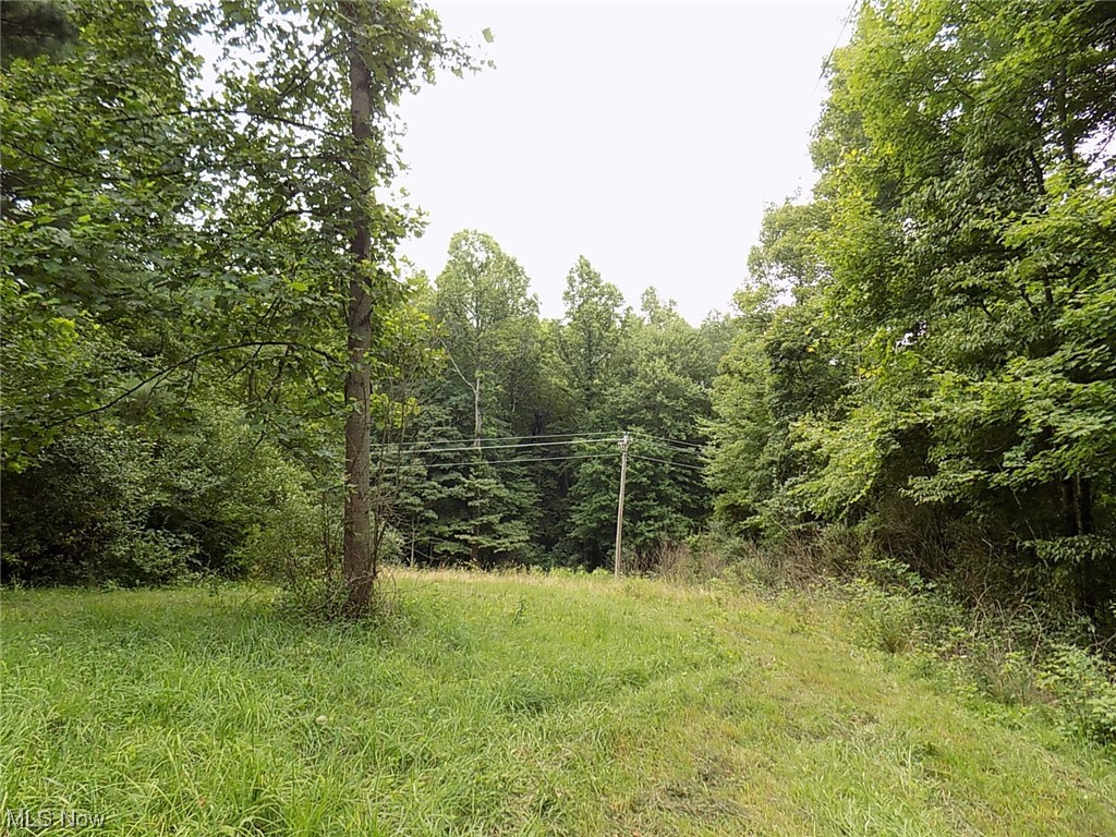 55830 Belmont Ridge Road Beallsville, OH 43716 - Photo 9 of 17