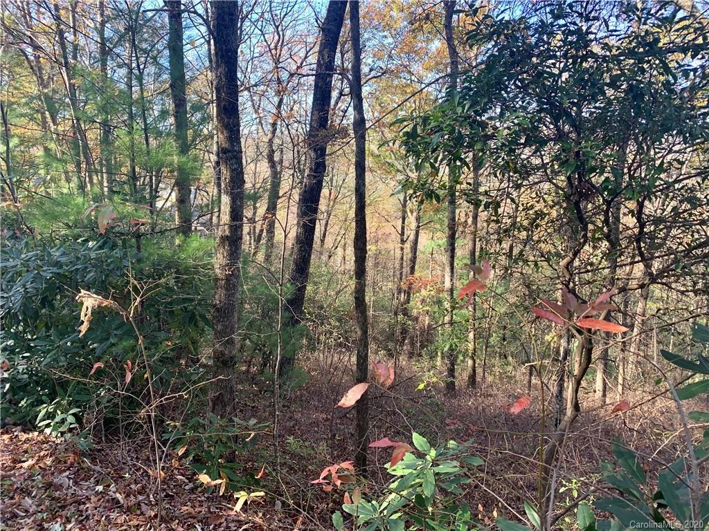 10 Running Fox Road, Unit 10FR Cleveland, SC 29635 - Photo 3 of 9 Gallery Image 3