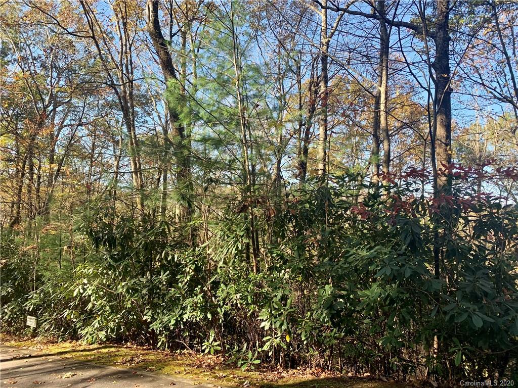 10 Running Fox Road, Unit 10FR Cleveland, SC 29635 - Photo 6 of 9 Gallery Image 6