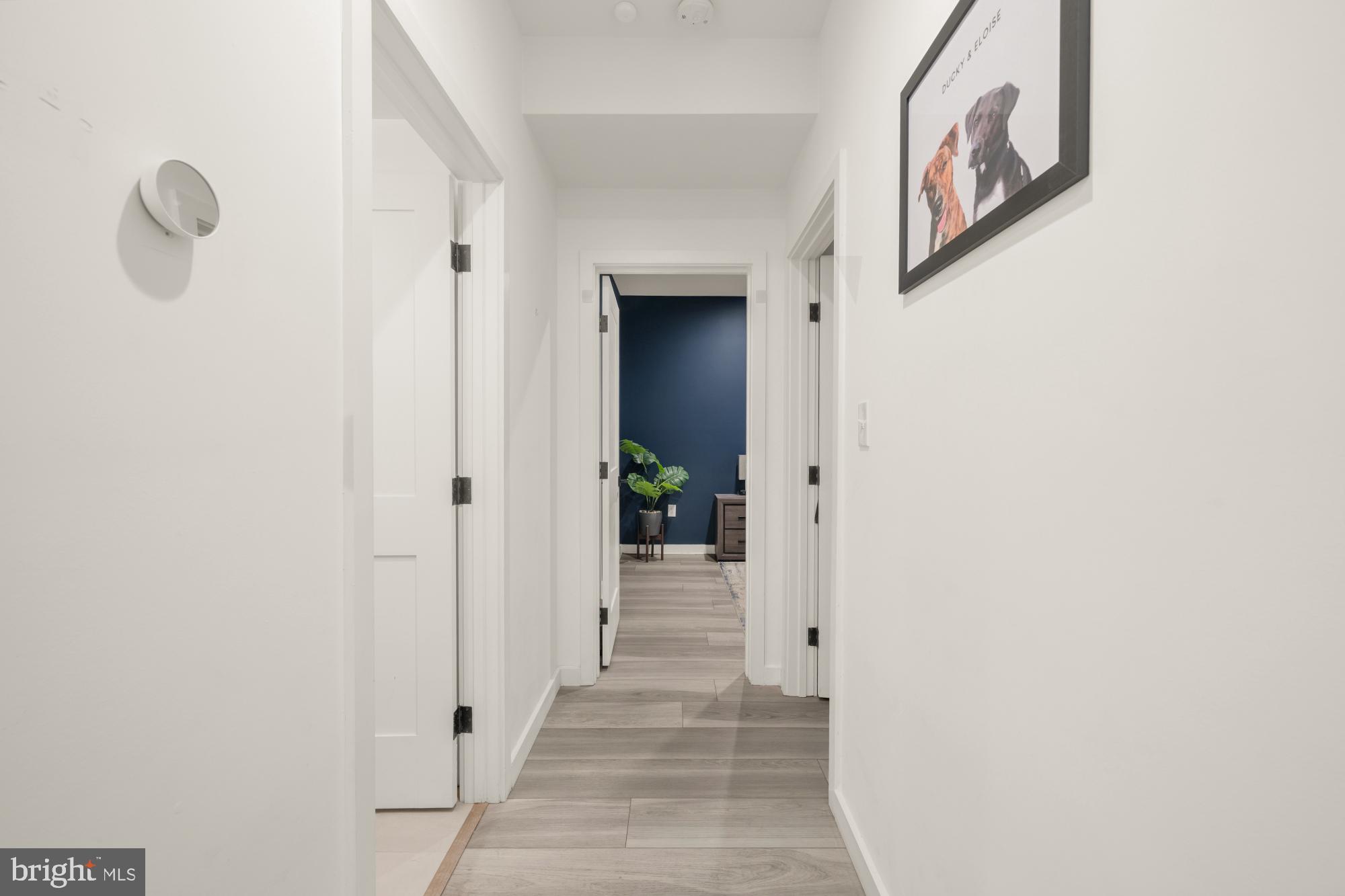 4816 3rd Street Northwest, Unit 2 Washington, DC 20011 - Photo 20 of 35 a view of a hallway to rooms and stairs