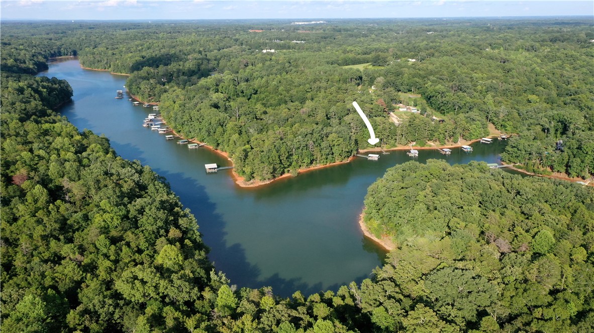 360 Cann Road Anderson, SC 29625 - Photo 3 of 4 Vast forested acreage frames the tranquil waters of a private lake with scattered docks.