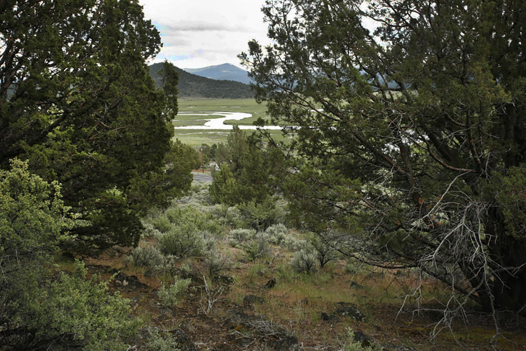 Lot 1 Drews Ranch Road Chiloquin, OR 97624 - Photo 6 of 8 em1000 COVER SHOT