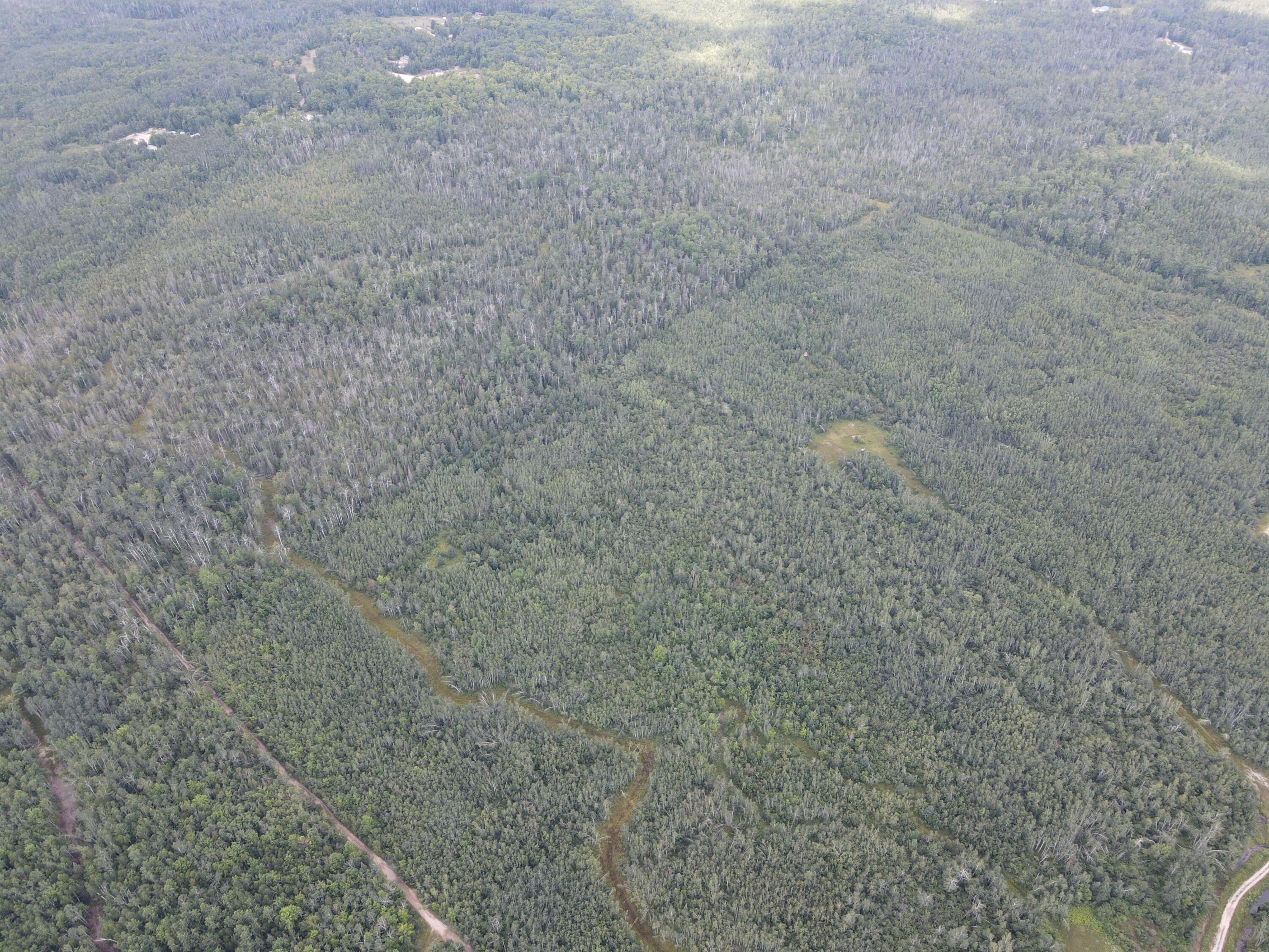 3250 Woiderski Road Cheboygan, MI 49721 - Photo 31 of 79 DJI_0606