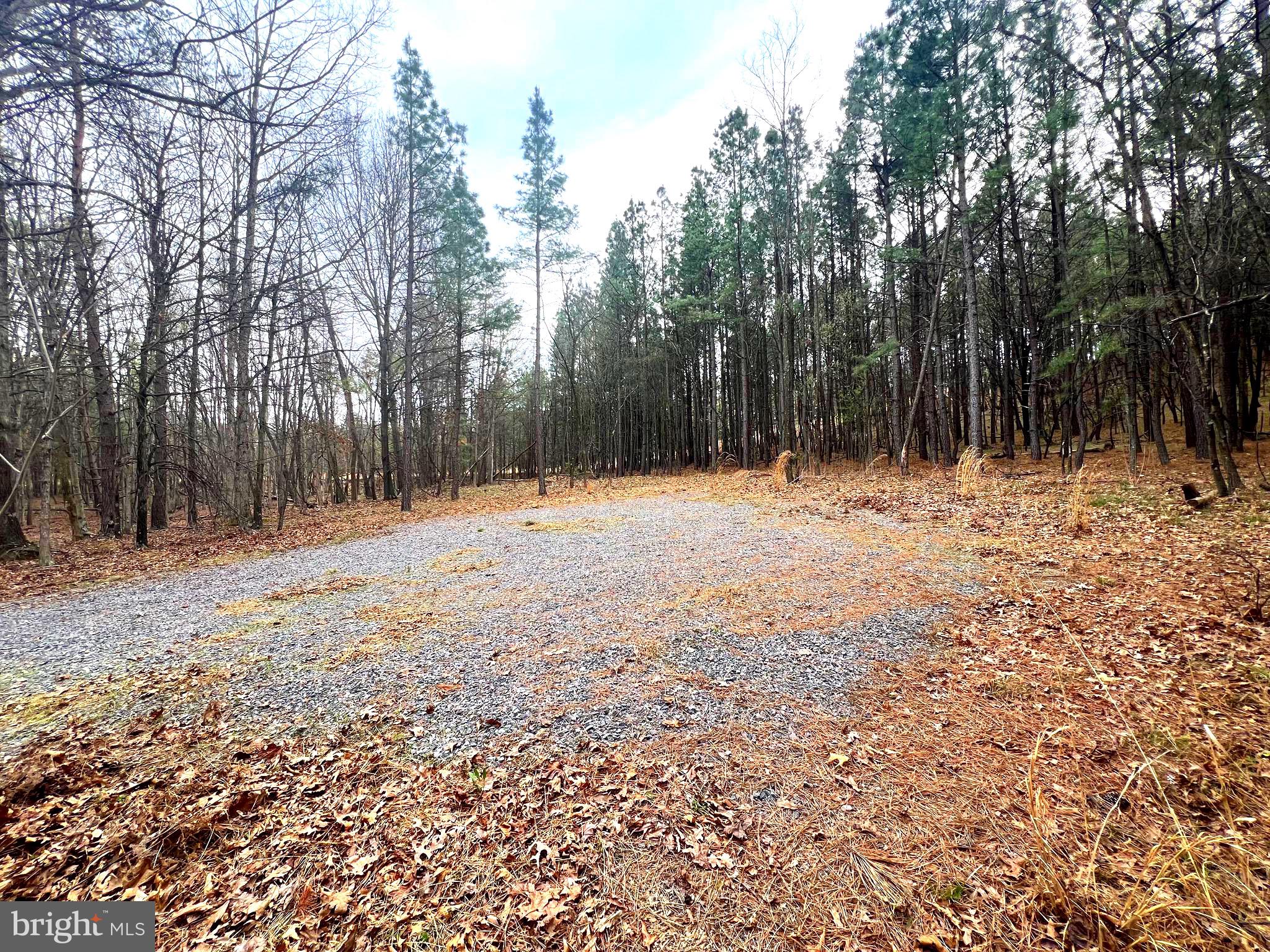 85 Trough View Road Moorefield, WV 26836 - Photo 4 of 42 Cleared area on lot
