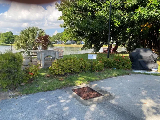 a view of a backyard with plants and palm tree