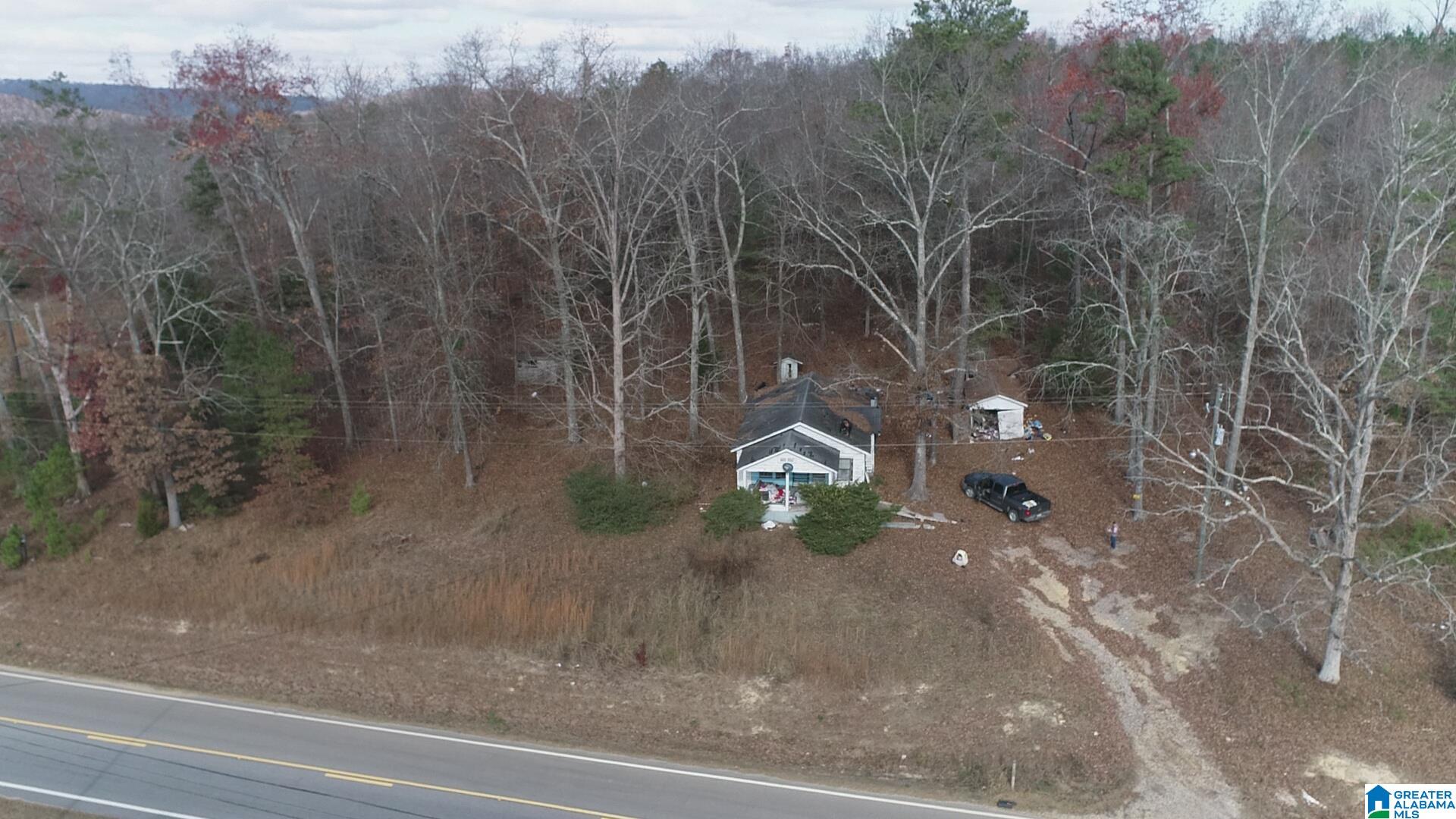 0 Highway 132, Unit 7 82 / ACRES Oneonta, AL 35121 - Photo 4 of 9