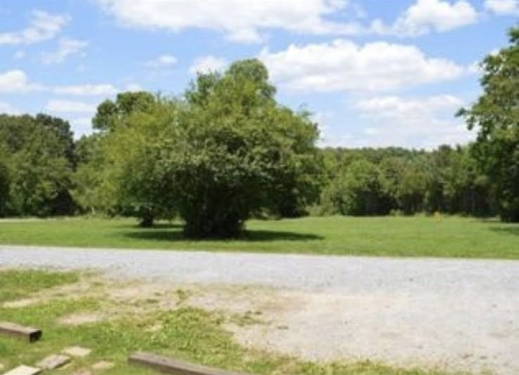 155 Covington Lane Dickson, TN 37055 - Photo 21 of 25