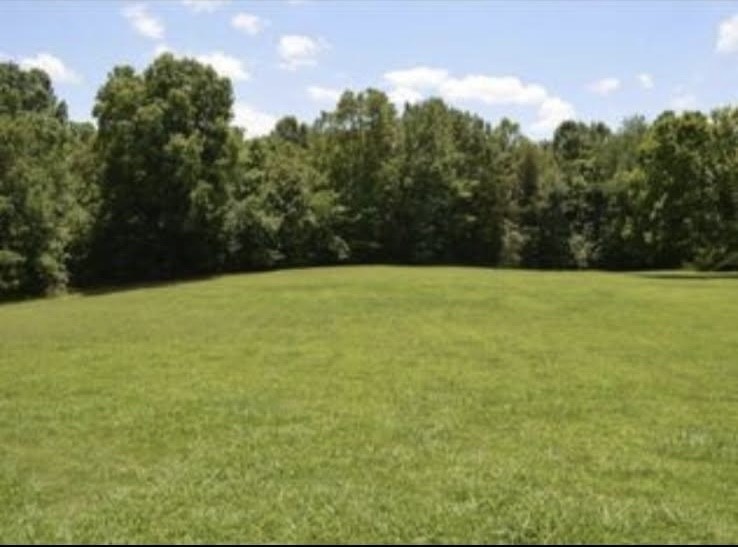 155 Covington Lane Dickson, TN 37055 - Photo 22 of 25