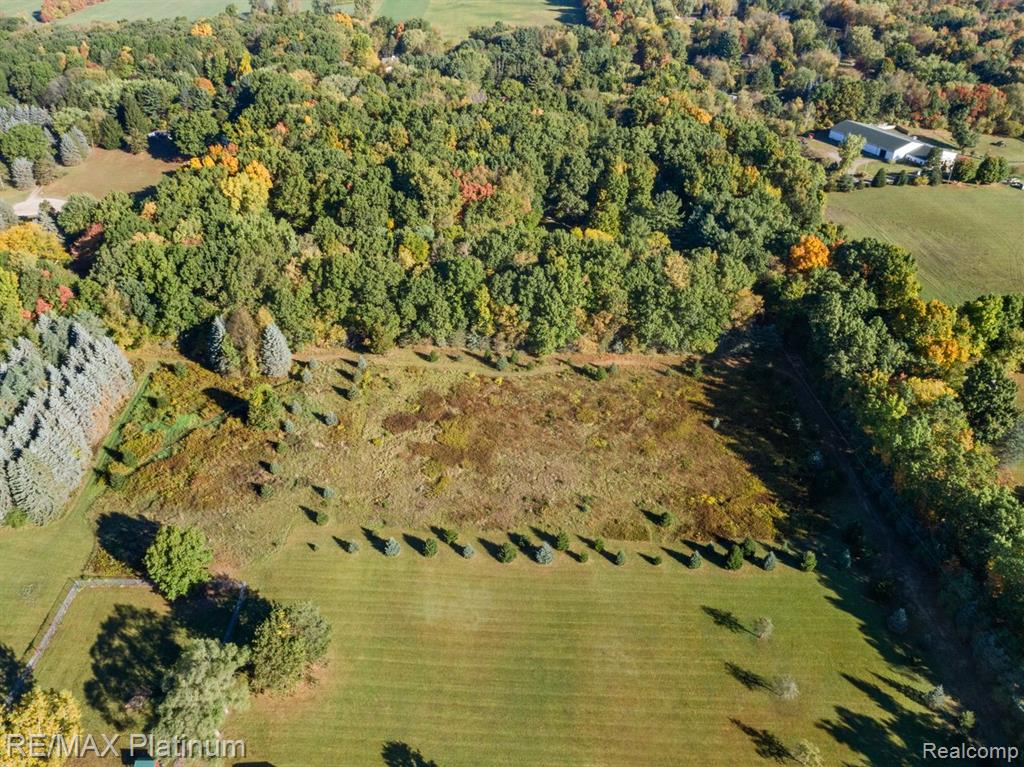 Parc B Tipsico Lake Road Hartland, MI 48353 - Photo 8 of 22