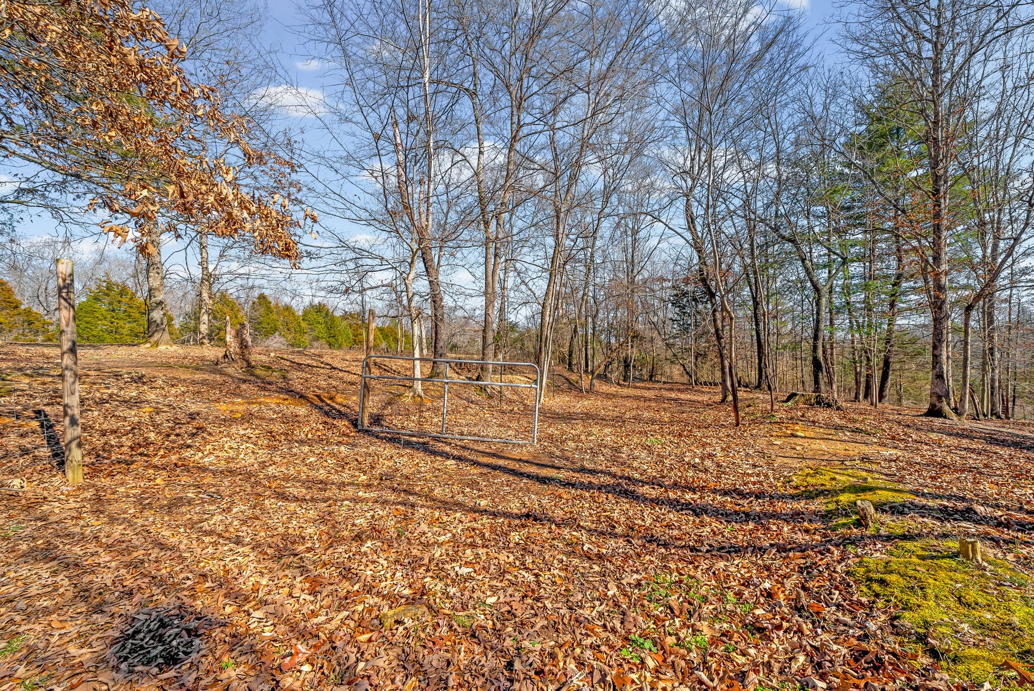 1663 Southside Road Southside, TN 37171 - Photo 29 of 37