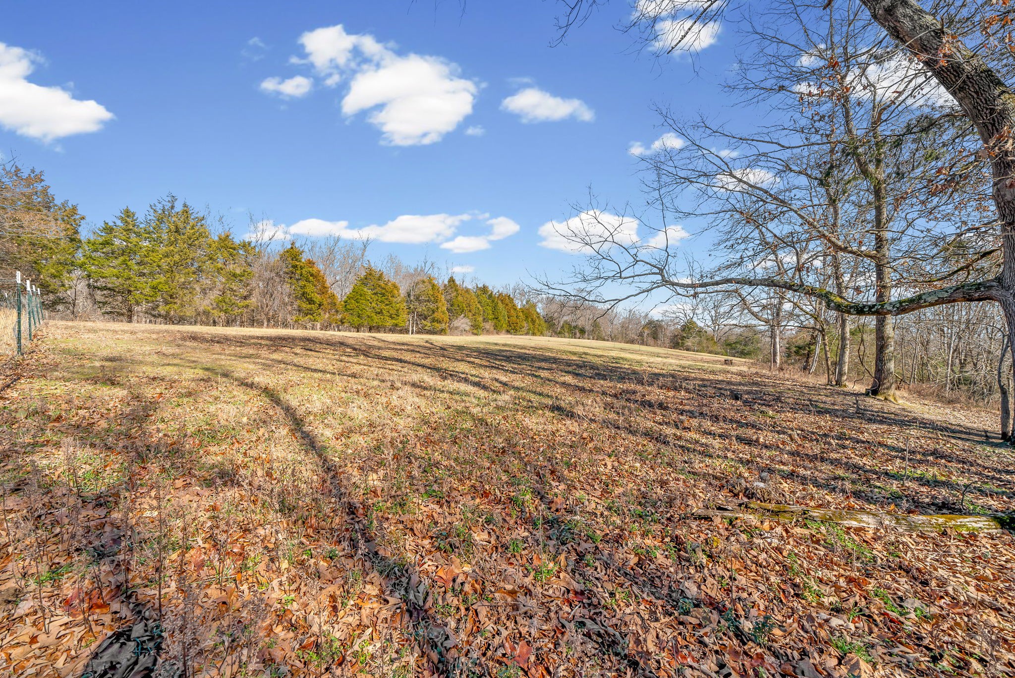1663 Southside Road Southside, TN 37171 - Photo 30 of 37