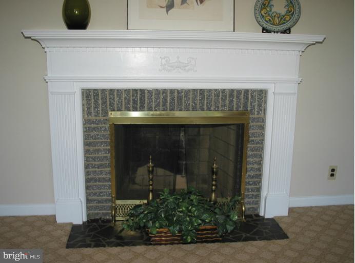 7600 Bells Mill Road Bethesda, MD 20817 - Photo 22 of 30 Fireplace