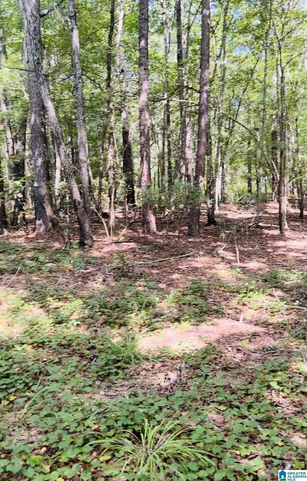 0 Joy Road Hayden, AL 35079 - Photo 20 of 23