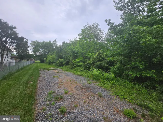 a view of a dirt road with trees in the background