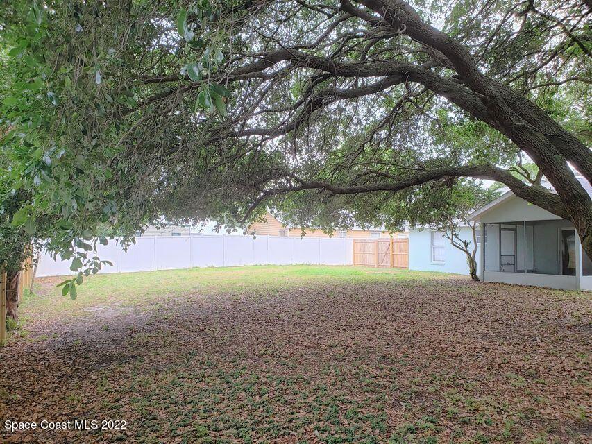 5649 Beaverbrook Street Cocoa, FL 32927 - Photo 24 of 29 a view of a yard with an tree