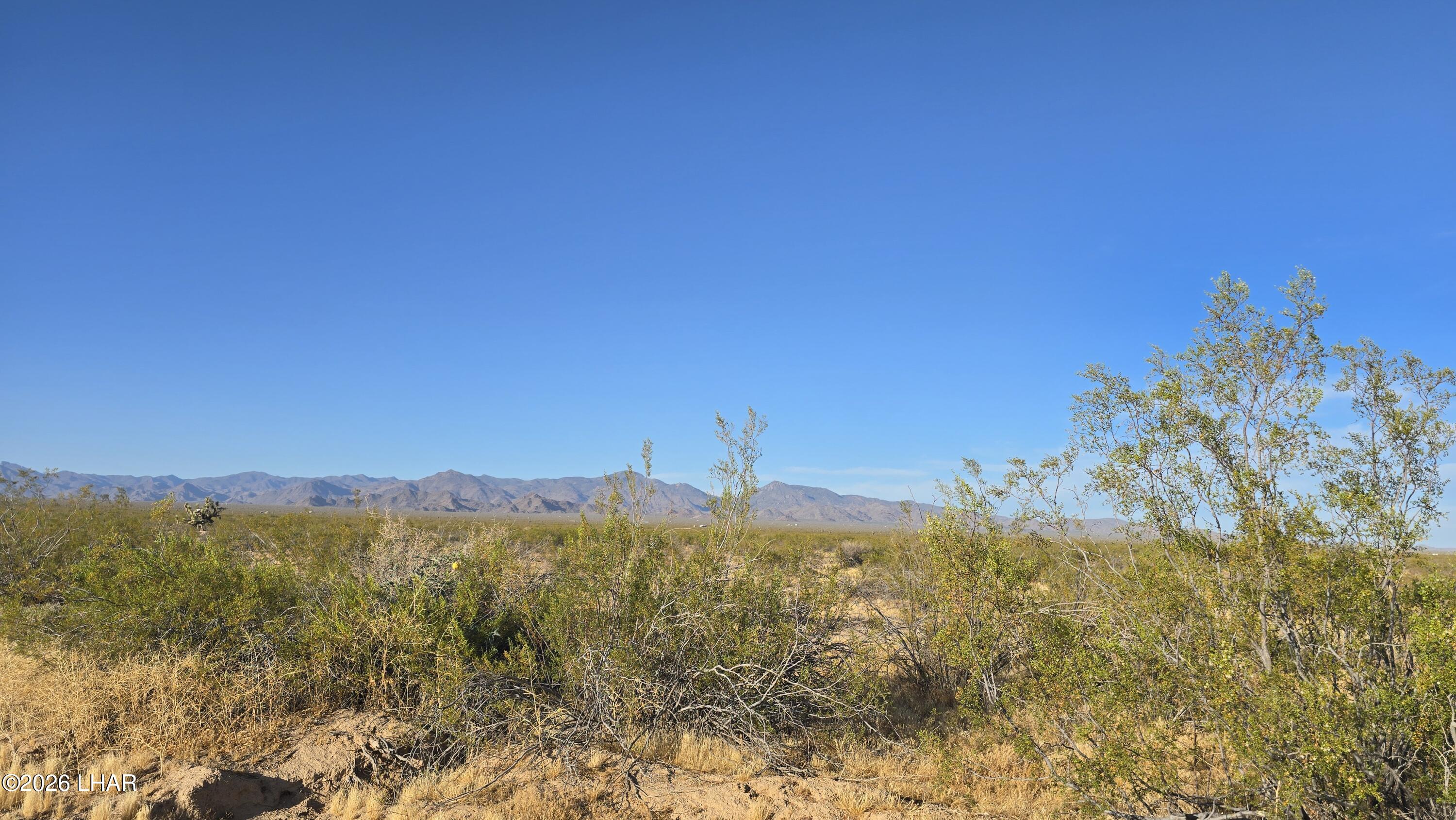 123-08-006 South Gene Autry Road Yucca, AZ 86438 - Photo 7 of 15