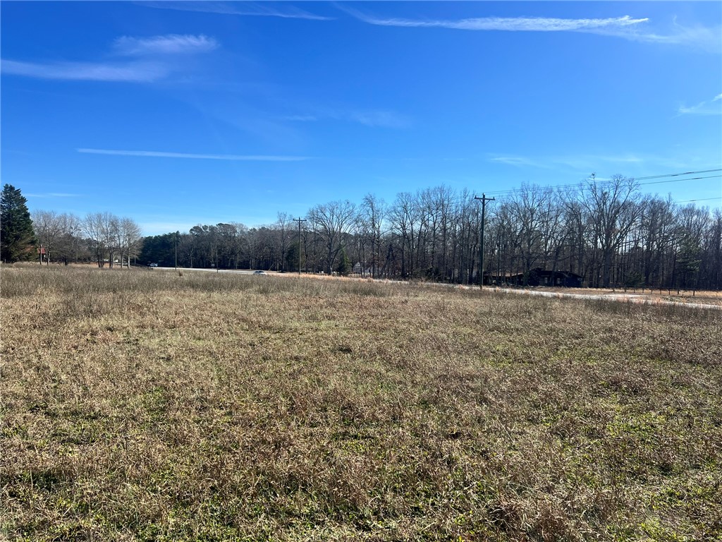 9901 Augusta Road Pelzer, SC 29669 - Photo 13 of 20