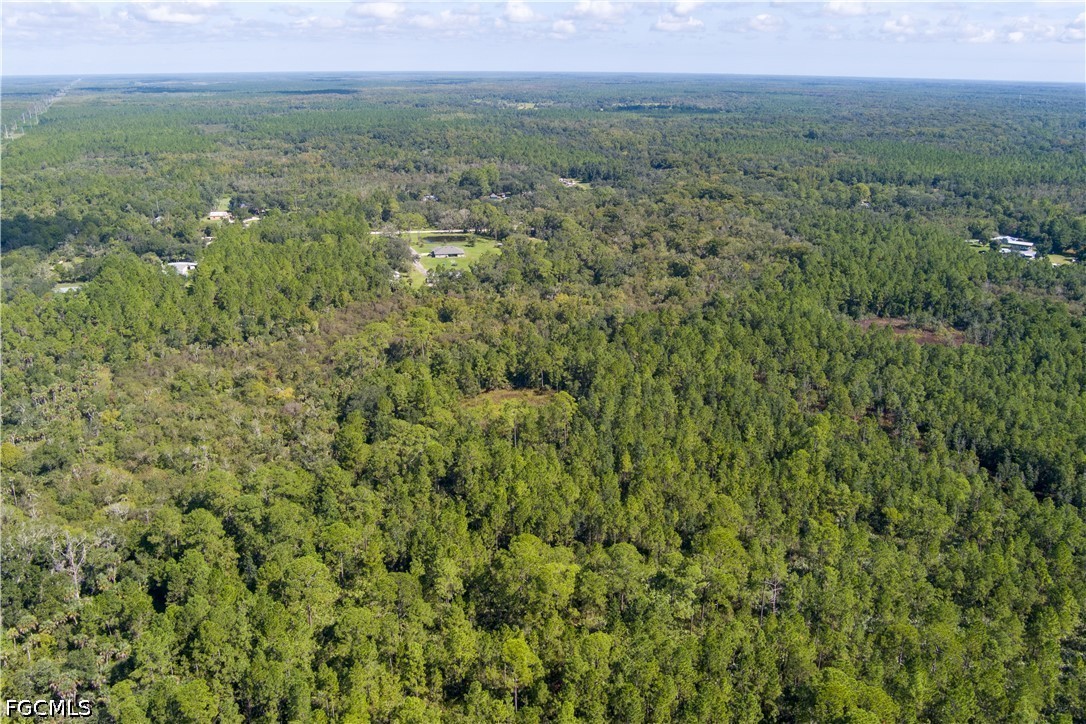 48559-39219 Gandy Road Mims, FL 32754 - Photo 12 of 24 Gallery Image 12