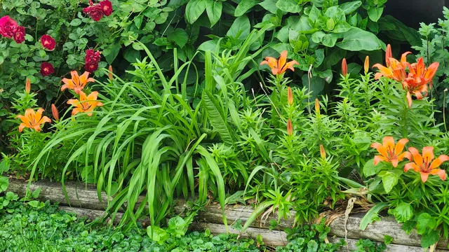 $188,000 | 355 North Cherry Street, El Paso, IL 61738