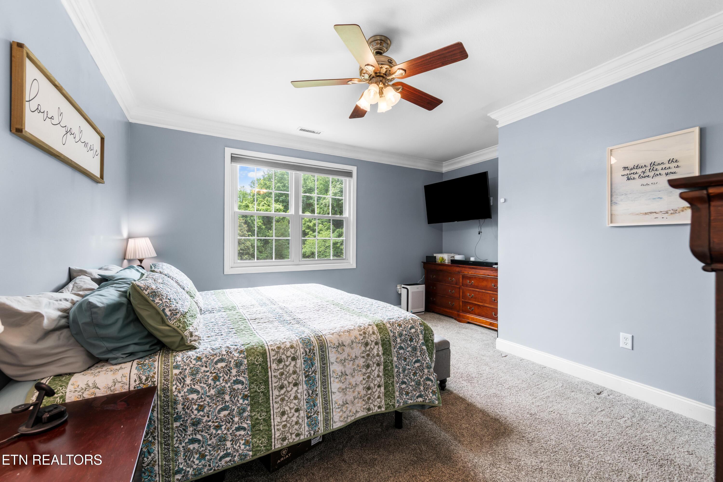 8111 Campbells Point Road Corryton, TN 37721 - Photo 23 of 39 030A0169