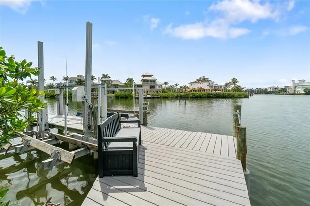 a view of a lake with a palm tree