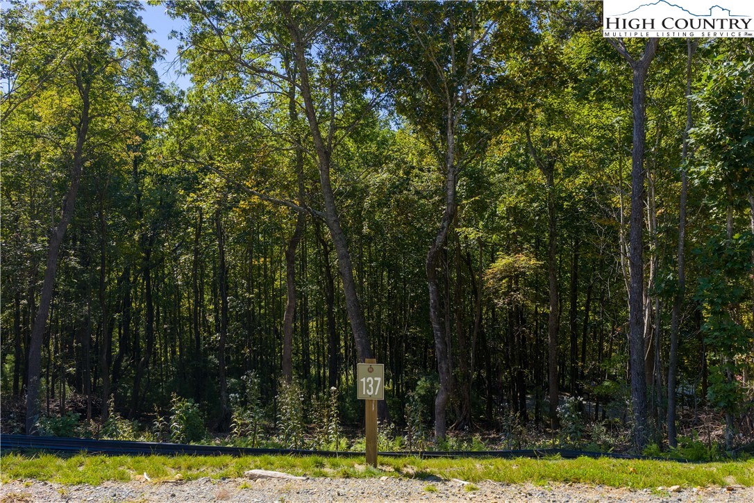 Lot 137 Angelfire Trail Deep Gap, NC 28618 - Photo 14 of 27 a view of swimming pool with a yard