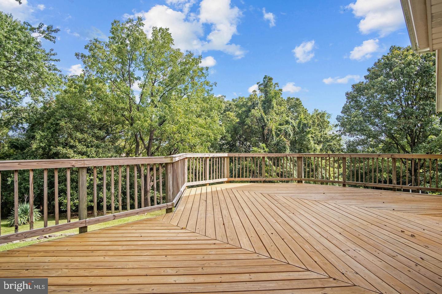 6409 May Boulevard Alexandria, VA 22310 - Photo 30 of 35