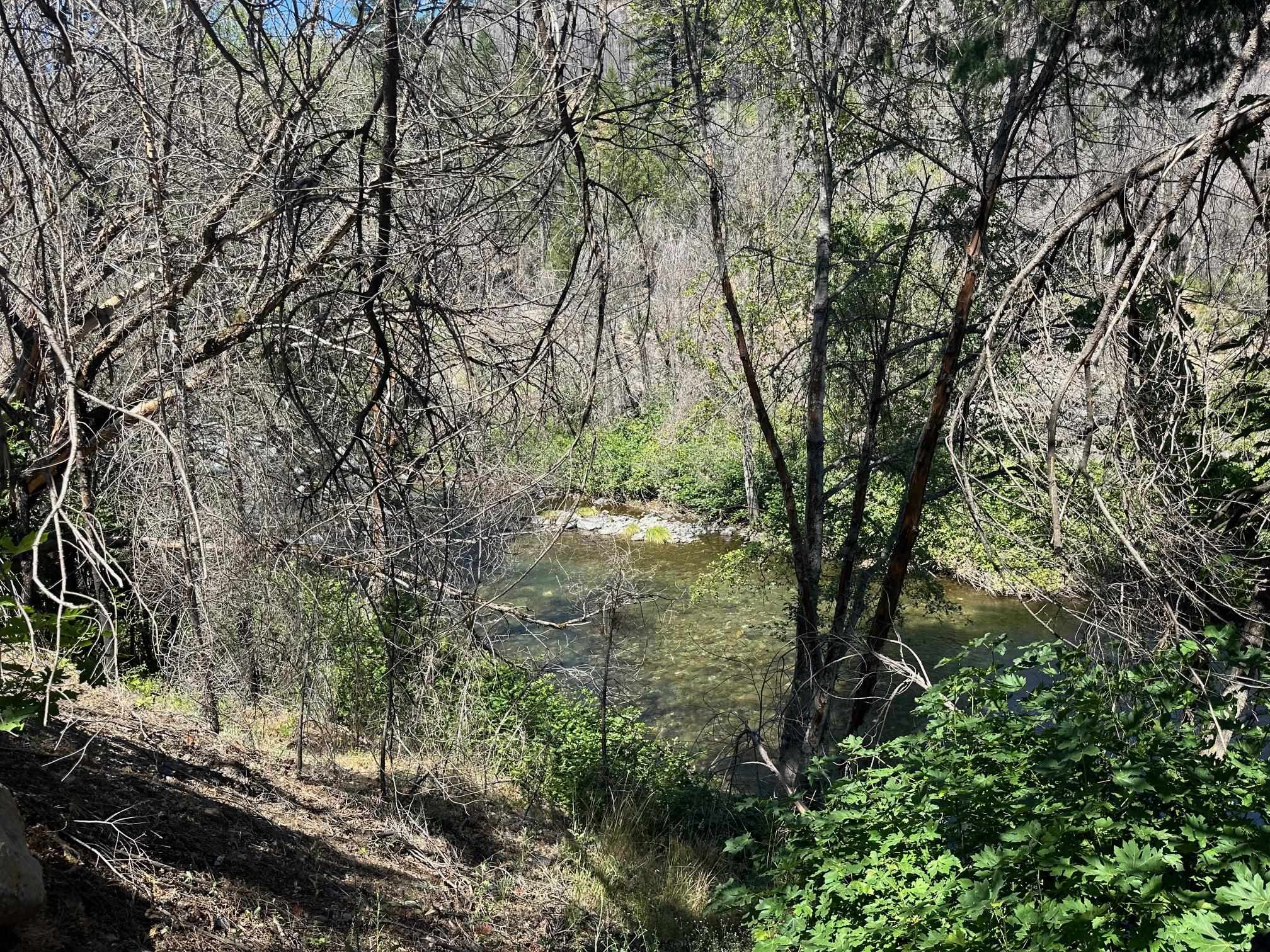 5680 Seneca Road Canyon Dam, CA 95923 - Photo 5 of 7 Gallery Image 5