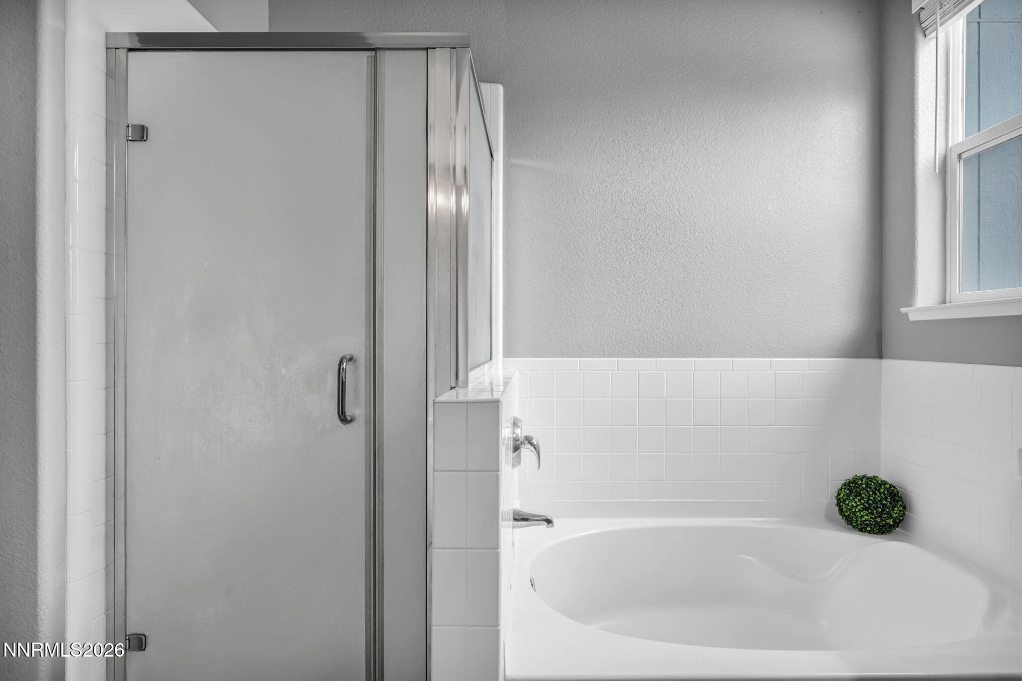 1333 Grassland Road Dayton, NV 89403 - Photo 16 of 25 51-web-or-mls-1333-grassland-rd