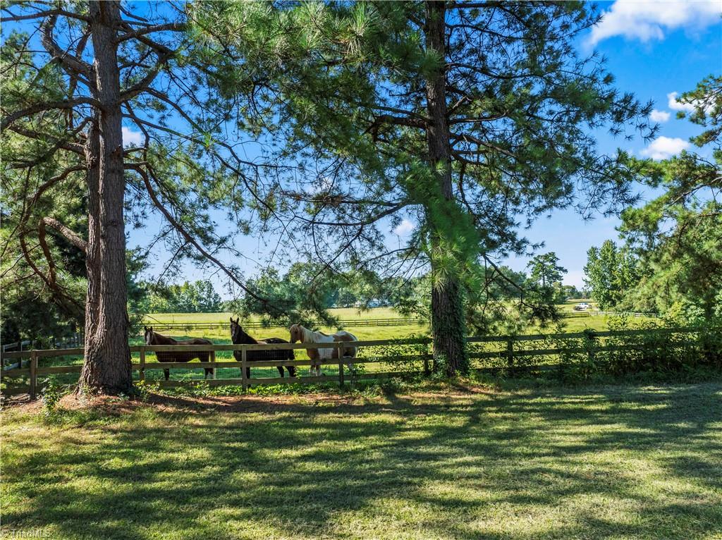 5760 Hesters Store Road Hurdle Mills, NC 27541 - Photo 38 of 47