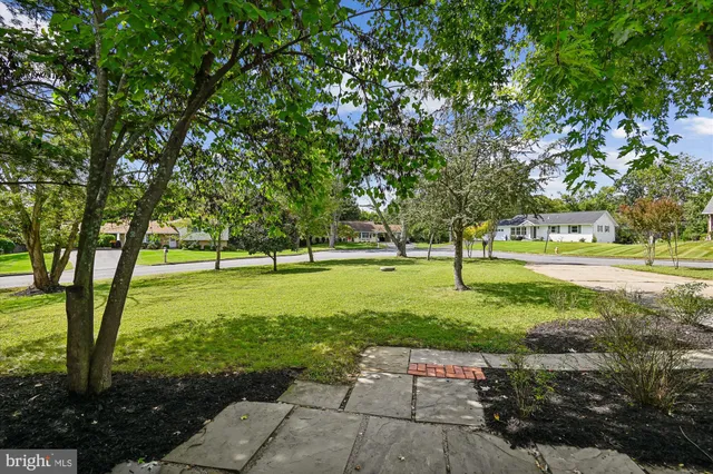 a huge green field with lots of trees