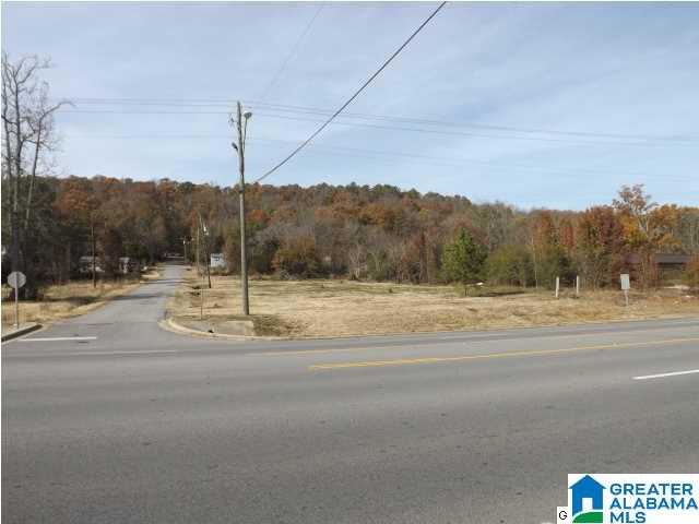 0 Highway 75, Unit 7 Oneonta, AL 35121 - Photo 1 of 9