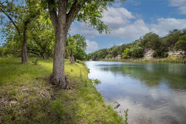 a view of a lake with a yard and large trees
