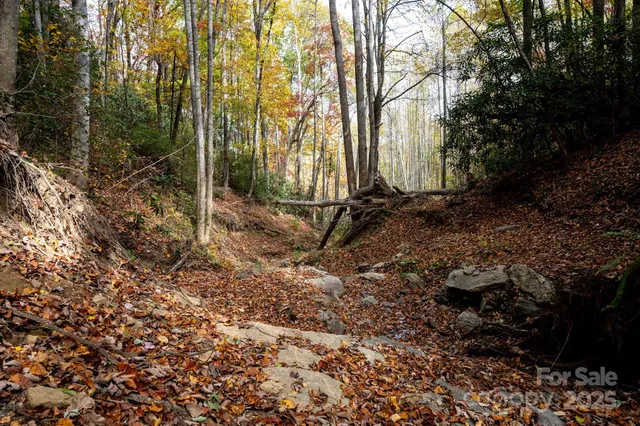 a view of a backyard with green space