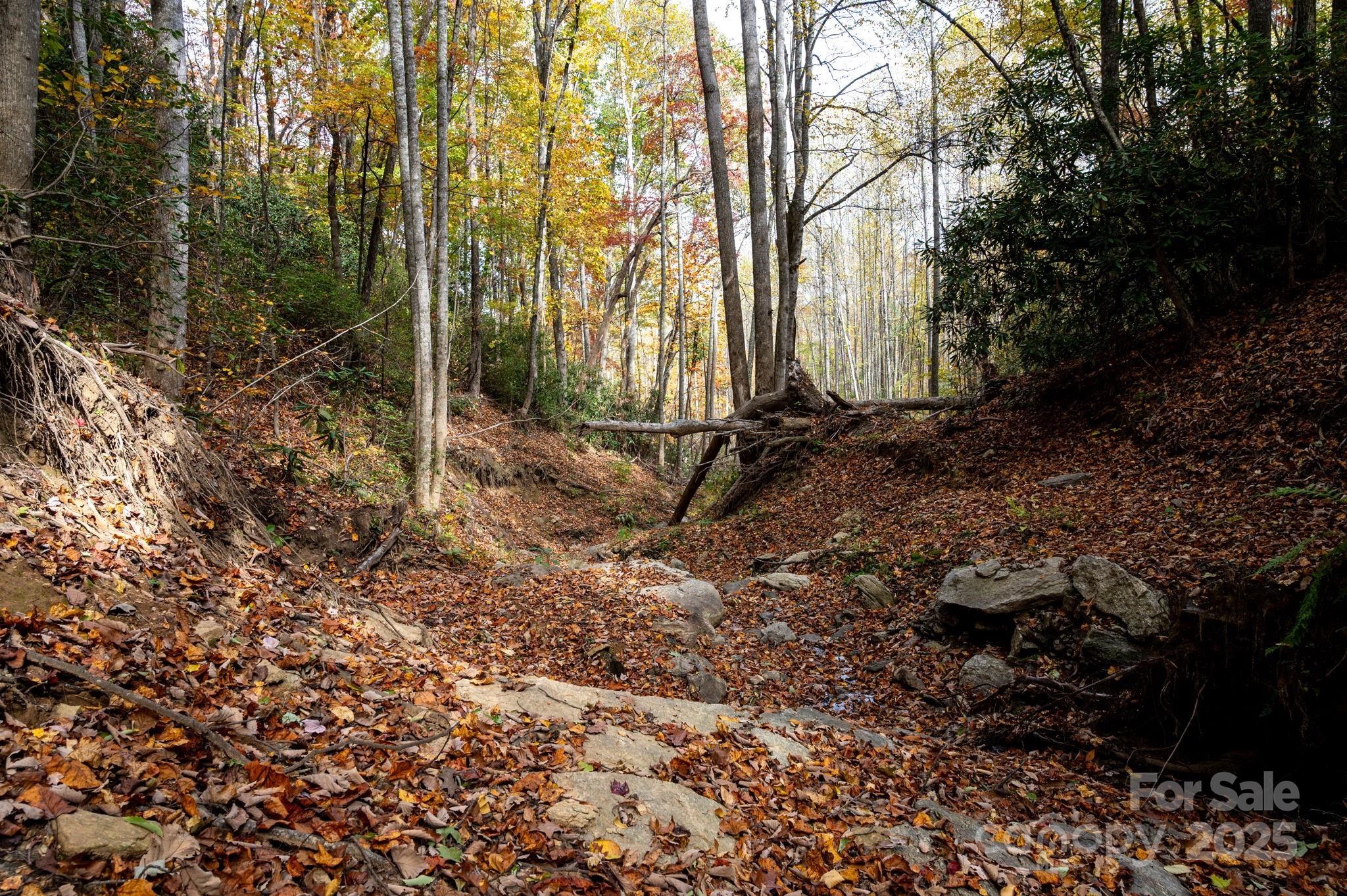 4 B Lower Flat Creek Road Hendersonville, NC 28792 - Photo 13 of 25 a view of a backyard with large trees