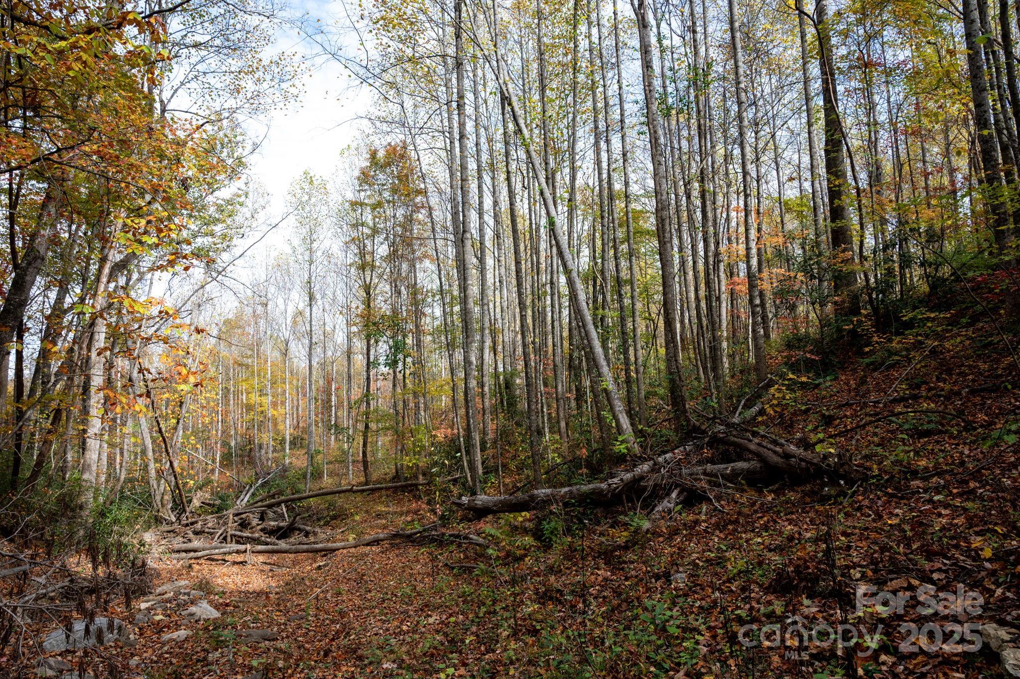 4 B Lower Flat Creek Road Hendersonville, NC 28792 - Photo 14 of 25 a view of a backyard with green space