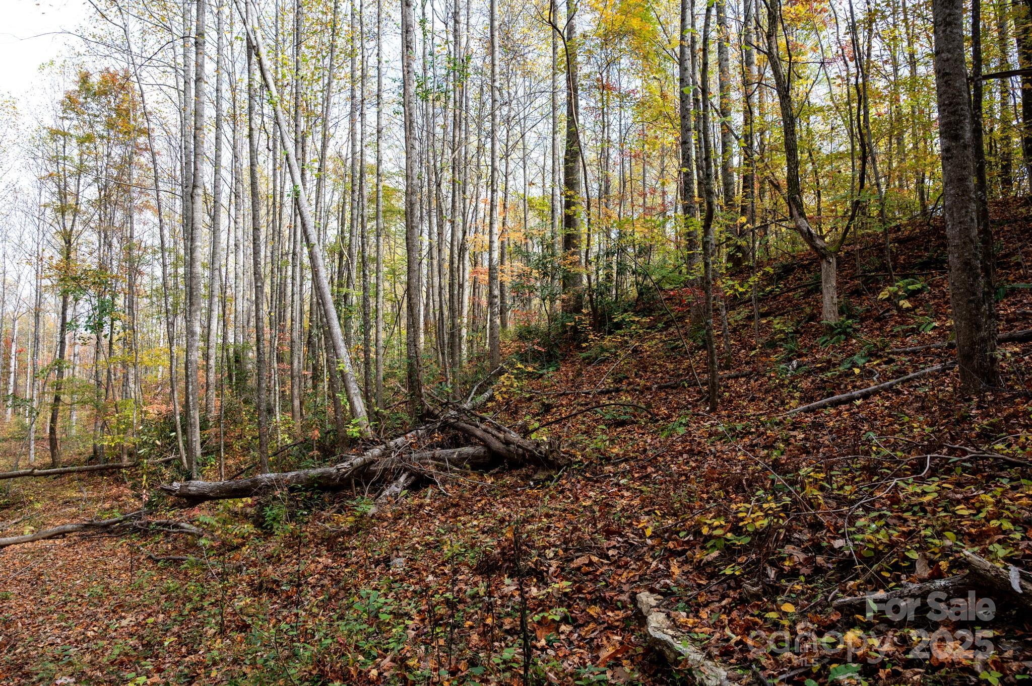 4 B Lower Flat Creek Road Hendersonville, NC 28792 - Photo 15 of 25 a view of a backyard