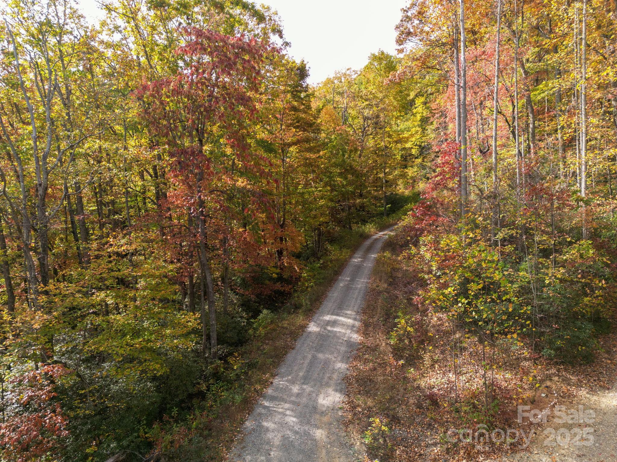4 B Lower Flat Creek Road Hendersonville, NC 28792 - Photo 16 of 25 a view of a pathway both side of yard