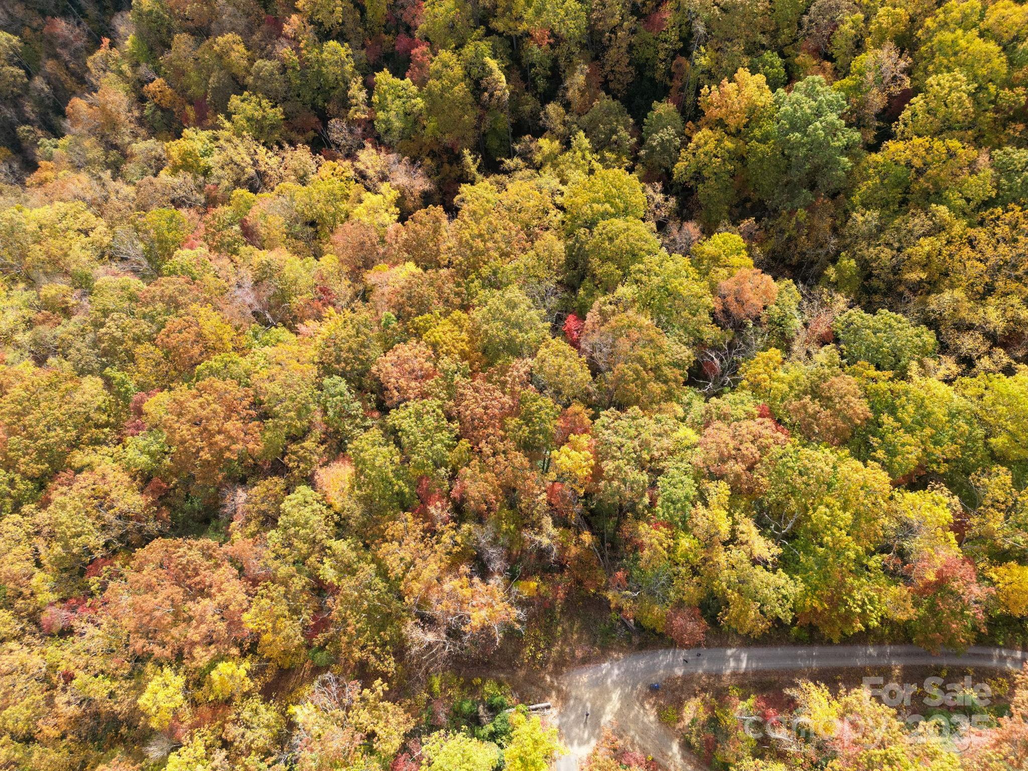 4 B Lower Flat Creek Road Hendersonville, NC 28792 - Photo 17 of 25 a view of a lake
