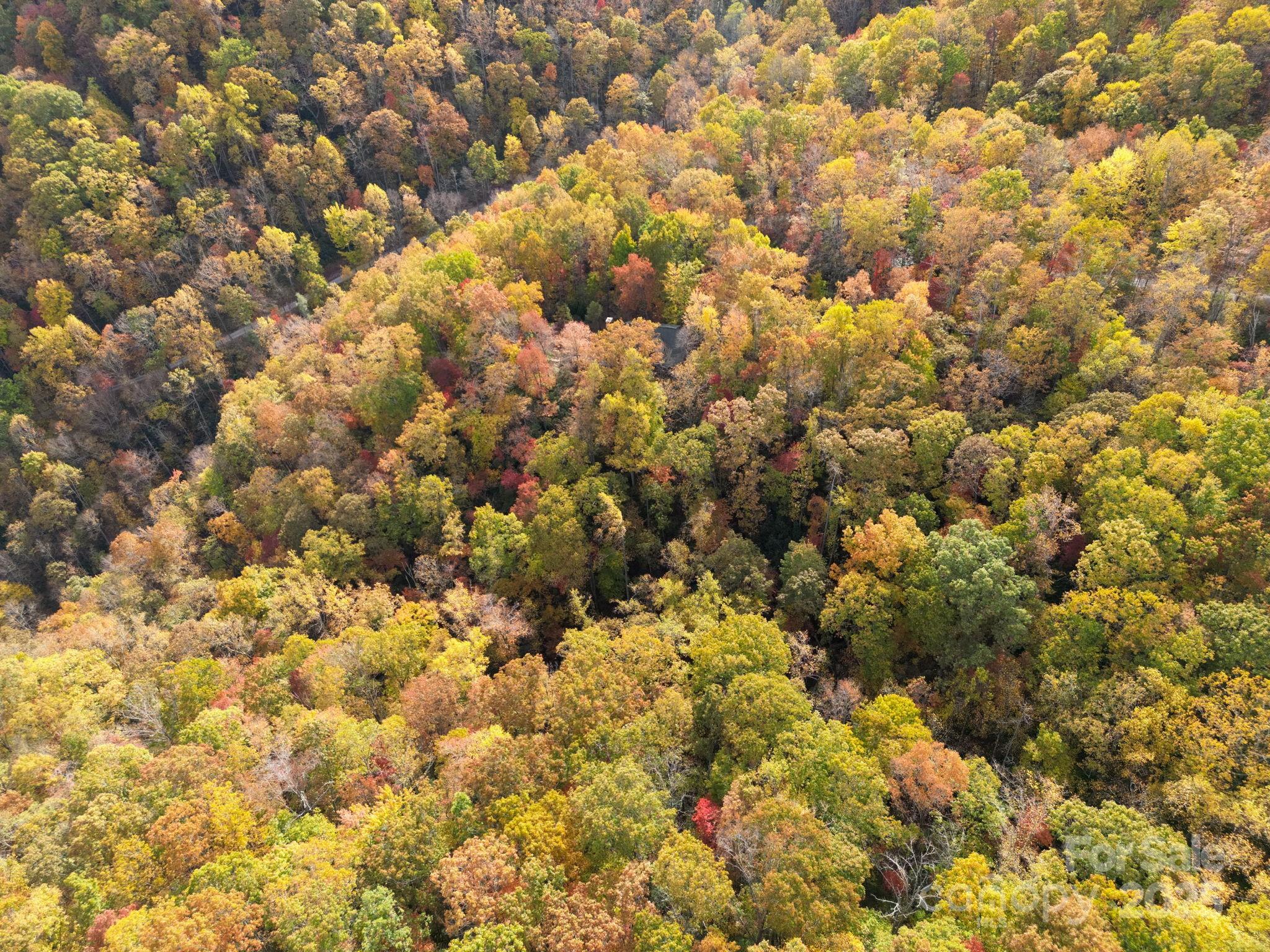 4 B Lower Flat Creek Road Hendersonville, NC 28792 - Photo 18 of 25 a view of a bunch of trees and white