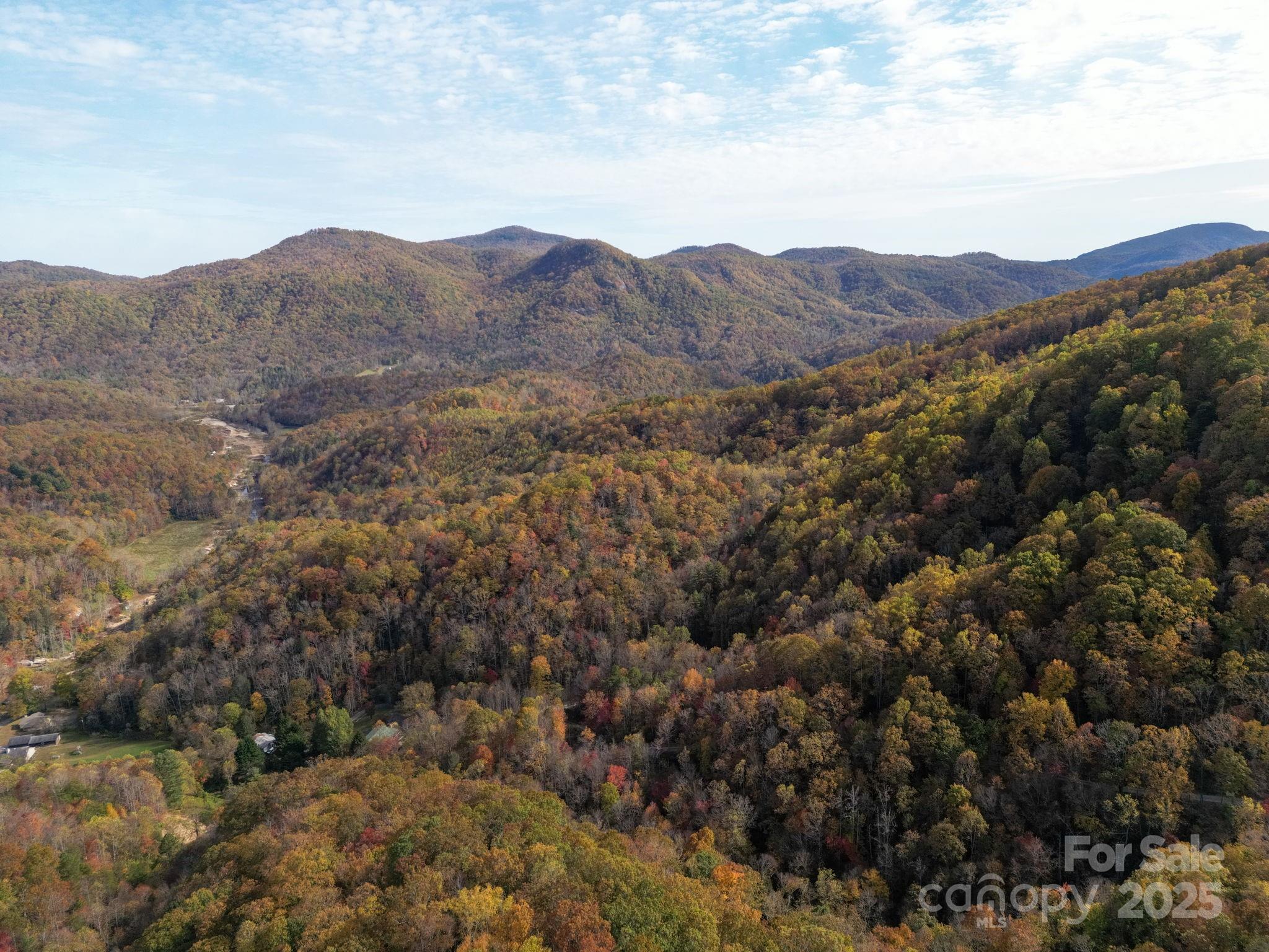 4 B Lower Flat Creek Road Hendersonville, NC 28792 - Photo 20 of 25 an aerial view of houses covered in trees