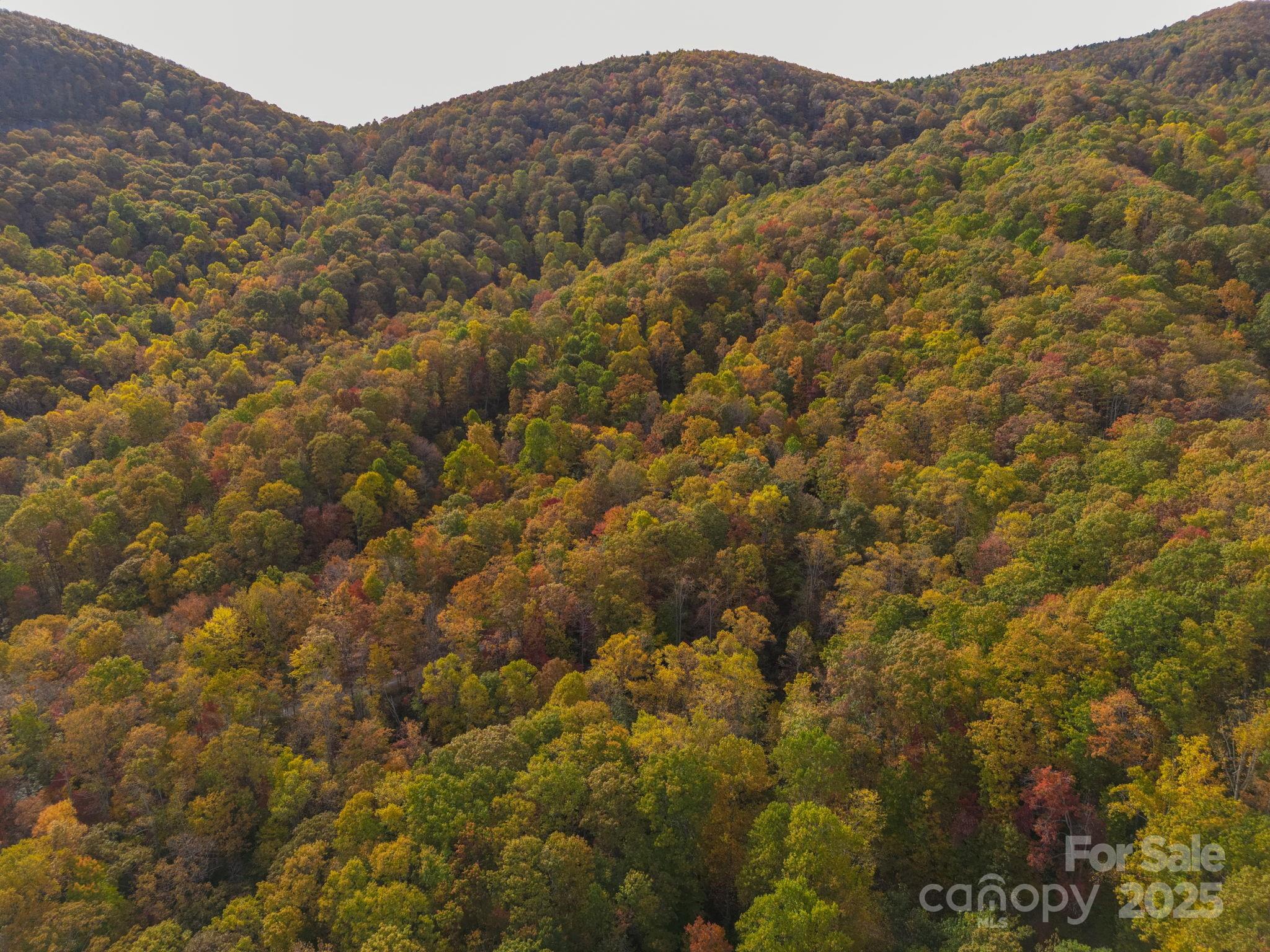 4 B Lower Flat Creek Road Hendersonville, NC 28792 - Photo 21 of 25 a view of a dry yard